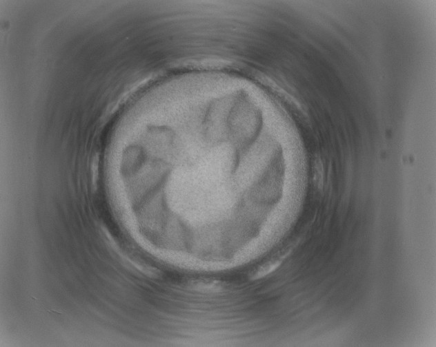 X0000082750206200702240047