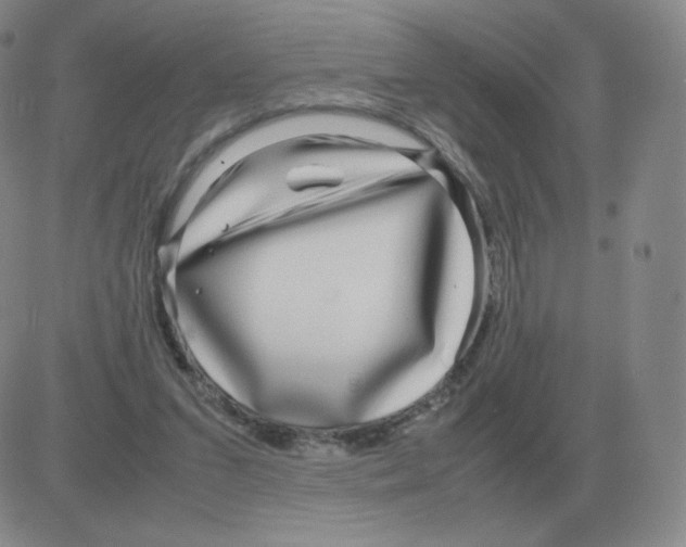 X0000082750207200702240047