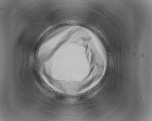 X0000082750208200702240047