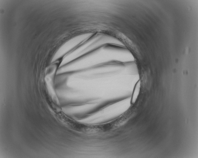 X0000082750209200702240047