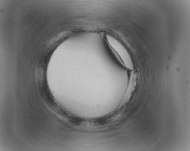 X0000082750211200702240047