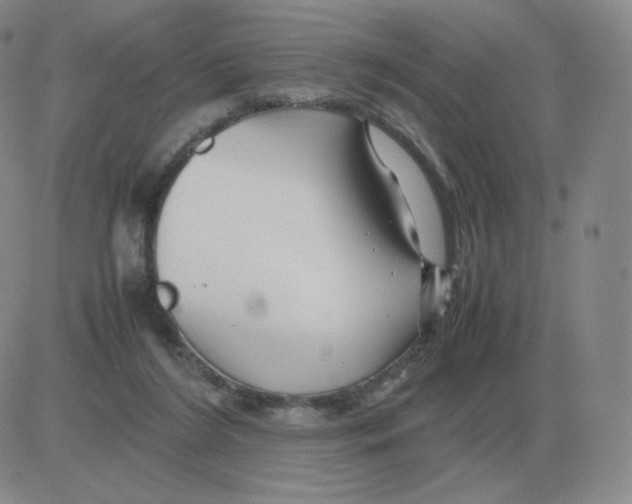 X0000082750212200702240047