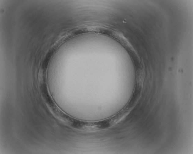 X0000082750213200702240047