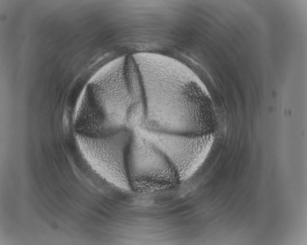 X0000082750214200702240047