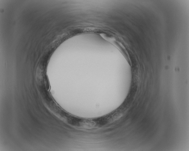 X0000082750215200702240047