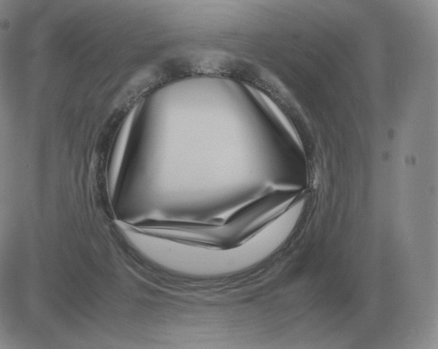 X0000082750217200702240047