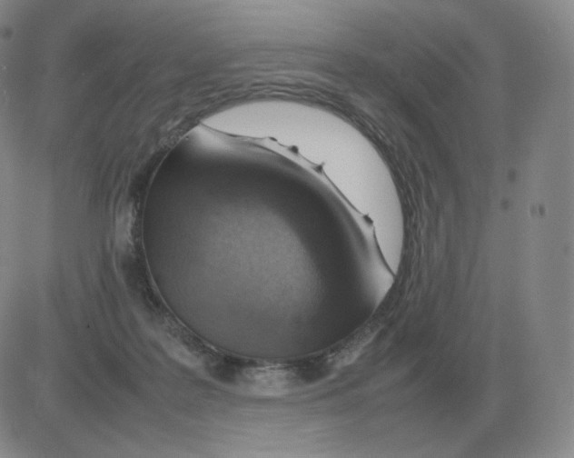 X0000082750219200702240047