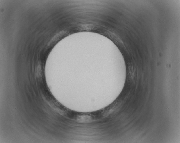 X0000082750220200702240047