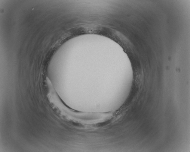 X0000082750221200702240047