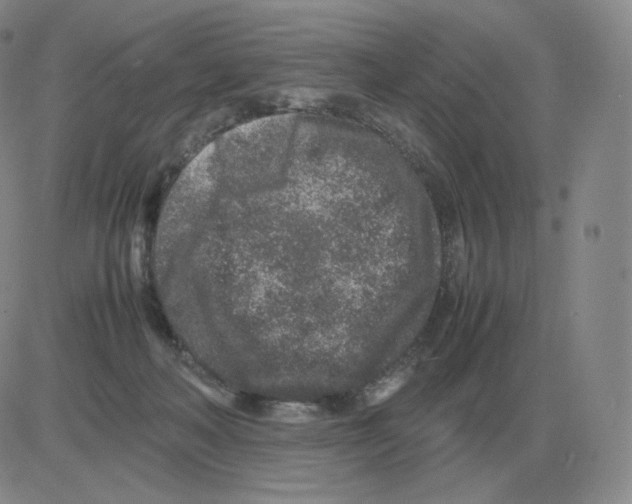 X0000082750222200702240047