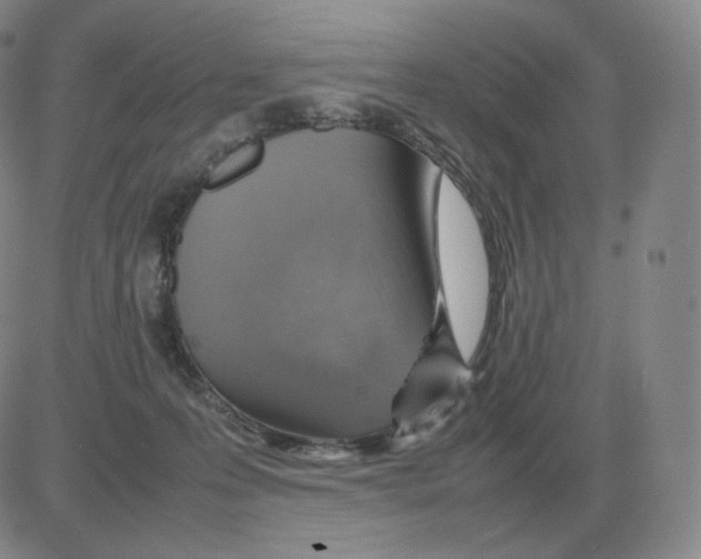 X0000082750223200702240047