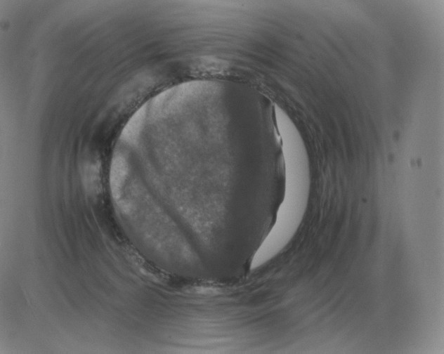 X0000082750224200702240047