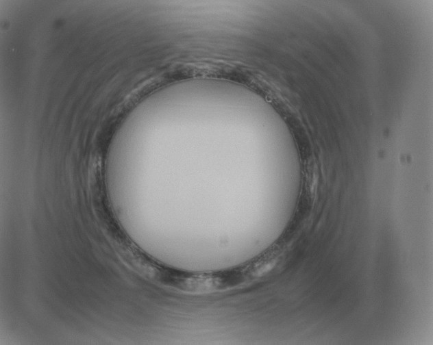 X0000082750225200702240047