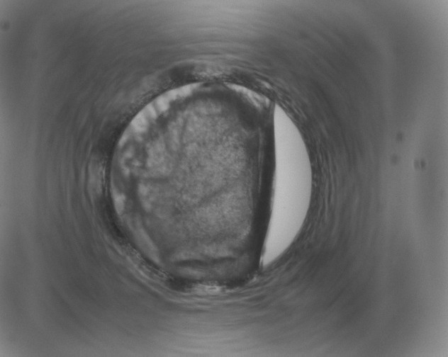 X0000082750227200702240047