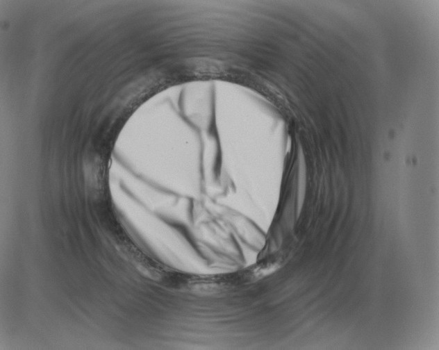 X0000082750228200702240047