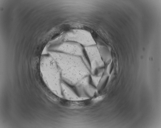 X0000082750229200702240047