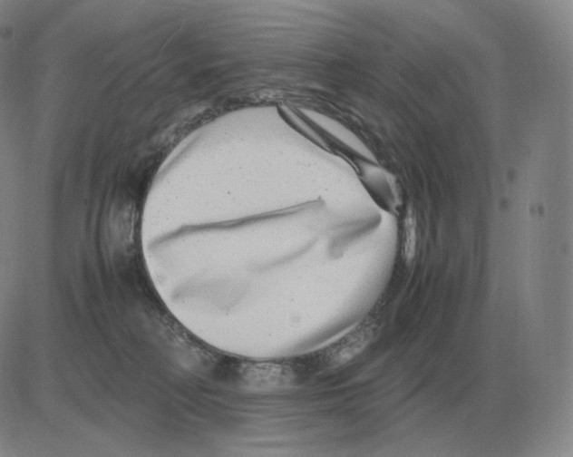 X0000082750230200702240046