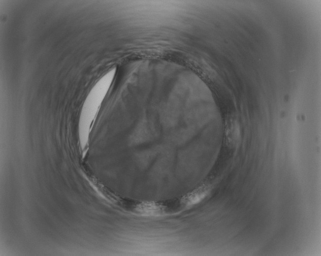 X0000082750231200702240046