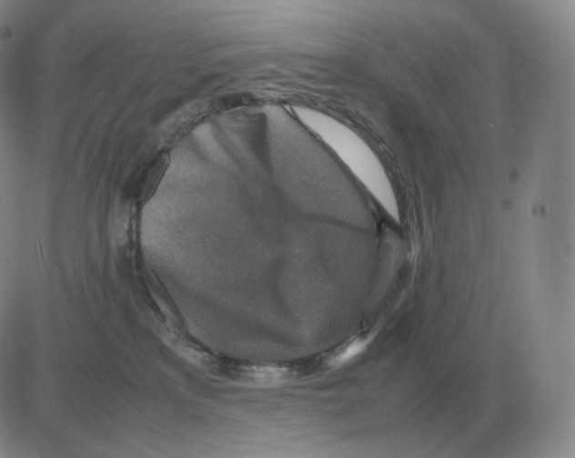 X0000082750233200702240046