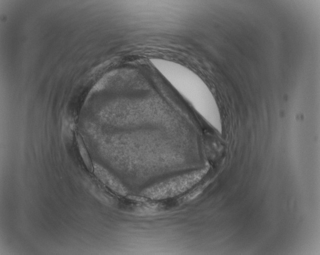 X0000082750235200702240046