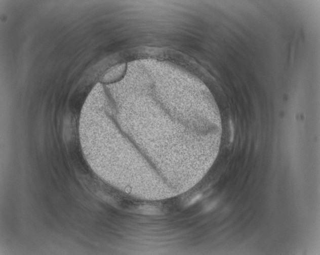 X0000082750236200702240046