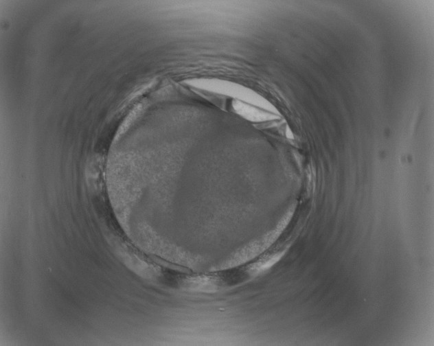 X0000082750237200702240046