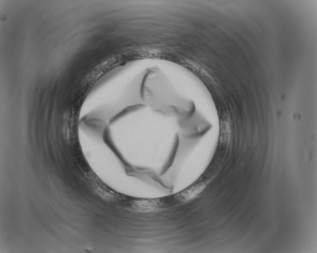 X0000082750238200702240046