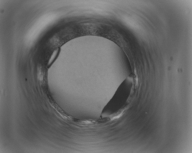 X0000082750239200702240046