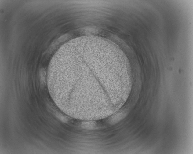 X0000082750240200702240046