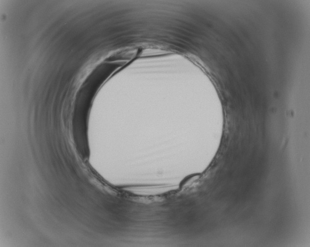 X0000082750241200702240046