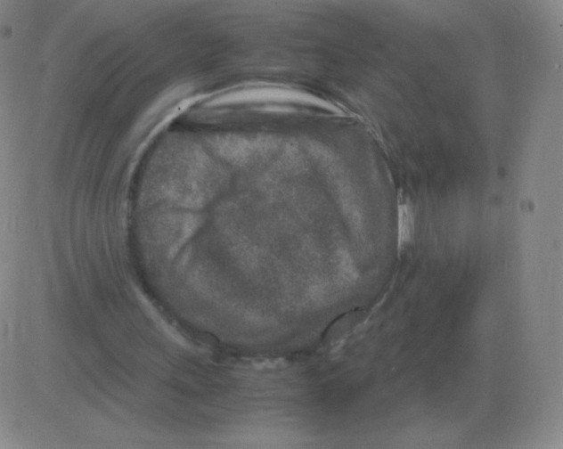 X0000082750243200702240046