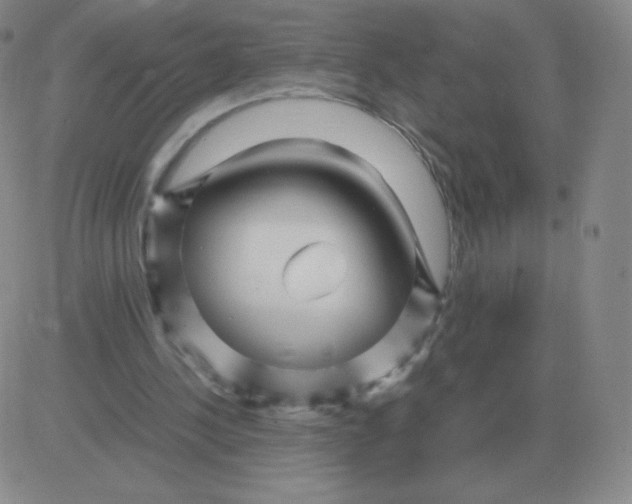 X0000082750244200702240046