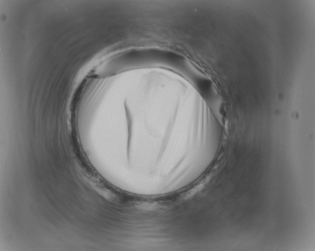 X0000082750246200702240046