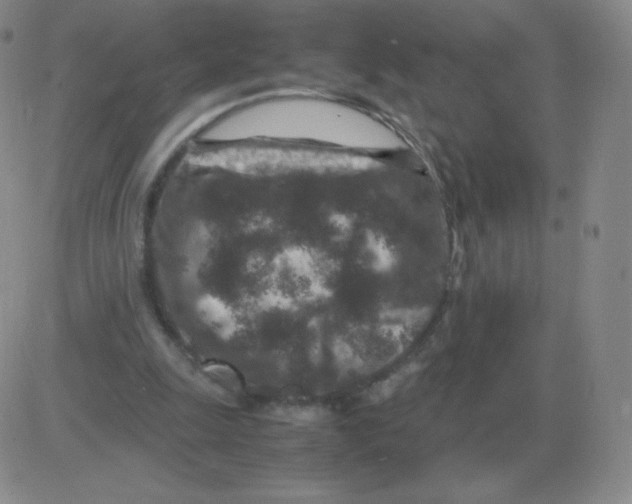 X0000082750247200702240046