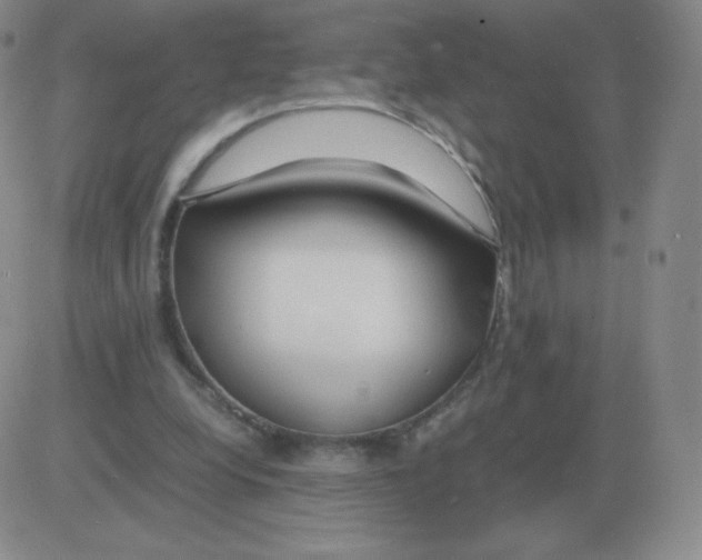 X0000082750248200702240046