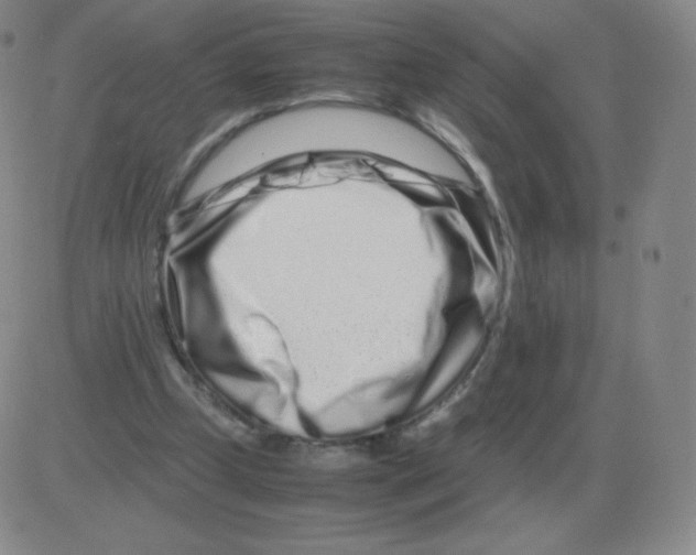 X0000082750249200702240046