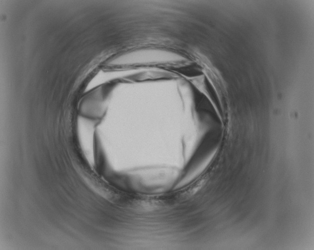 X0000082750250200702240046