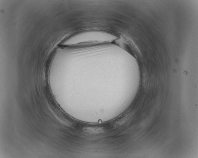 X0000082750251200702240046