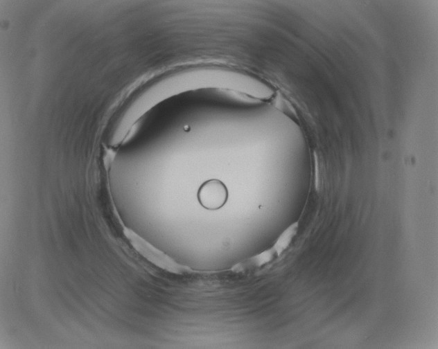 X0000082750252200702240046