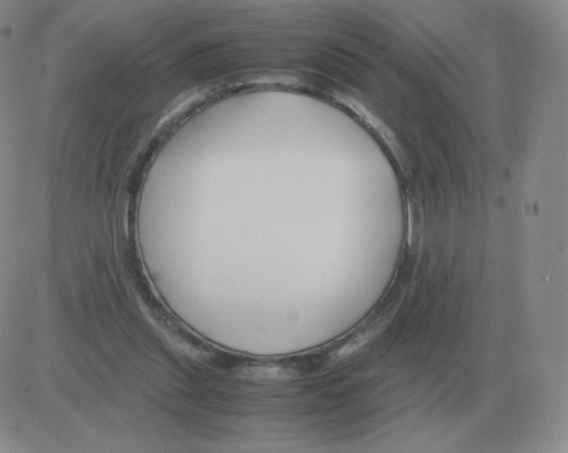 X0000082750253200702240046