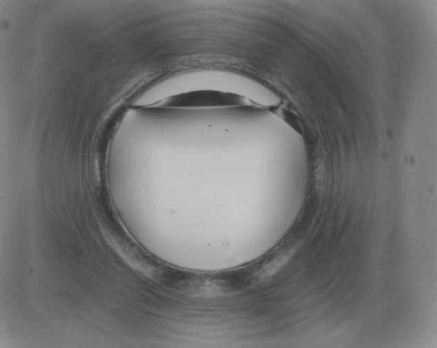 X0000082750254200702240046