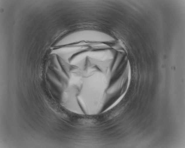 X0000082750255200702240046