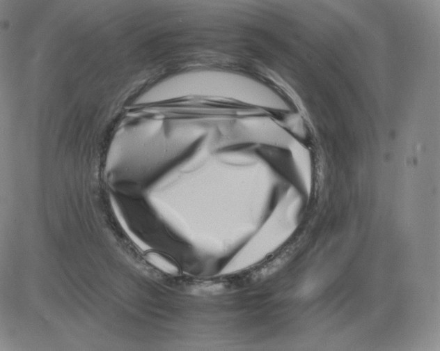 X0000082750257200702240046