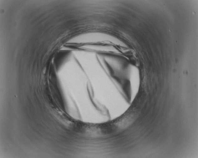 X0000082750258200702240046