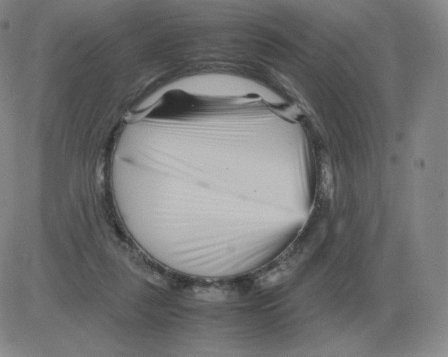 X0000082750259200702240046