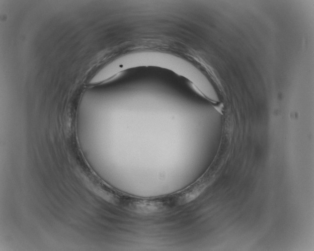 X0000082750261200702240046