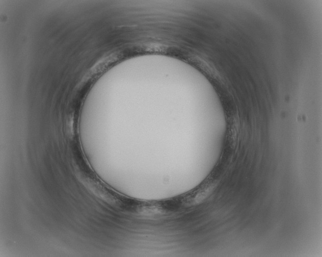 X0000082750262200702240046