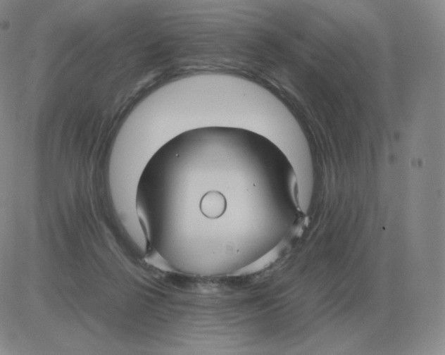 X0000082750264200702240046