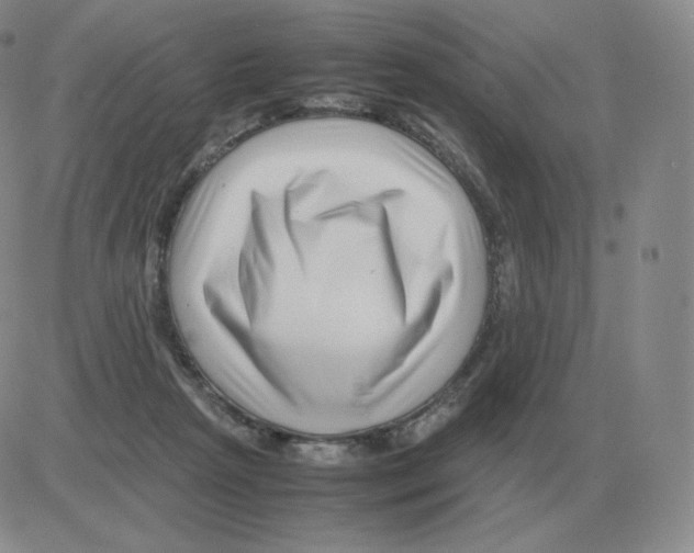 X0000082750265200702240046