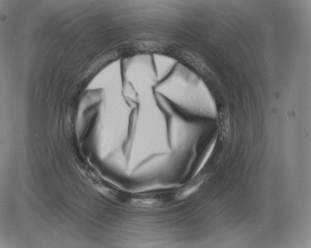 X0000082750266200702240046